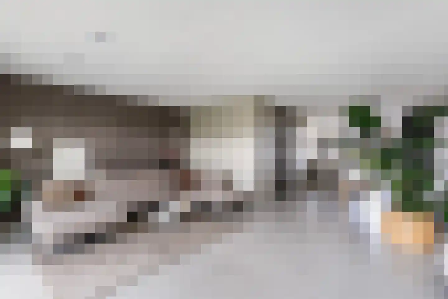 De Hoop 25 Zwolle thumbnail 6