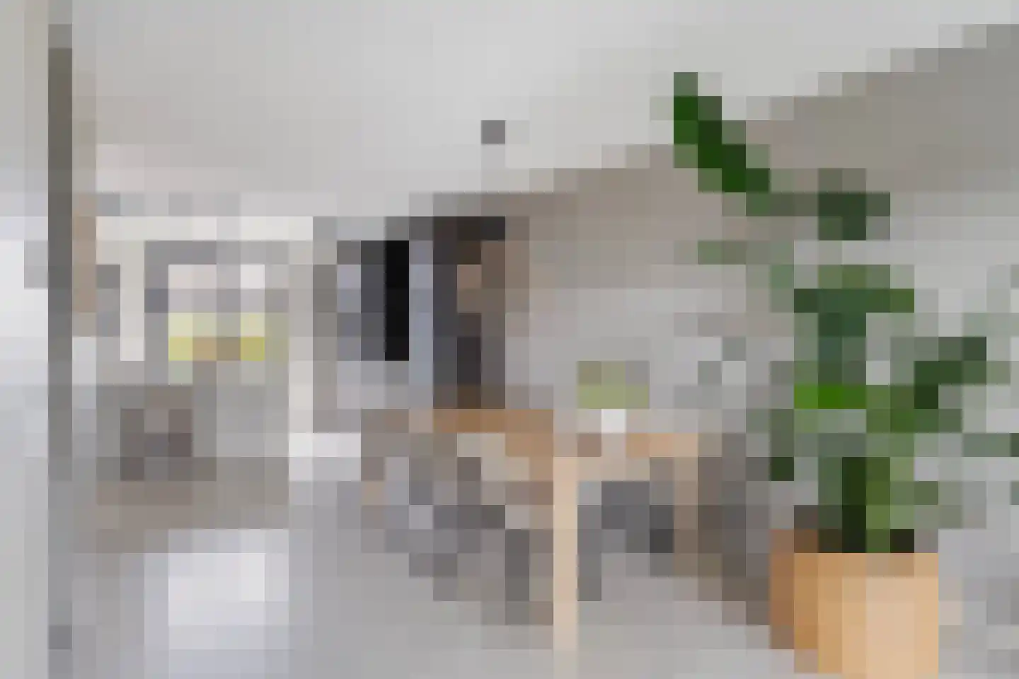 De Hoop 25 Zwolle thumbnail 8