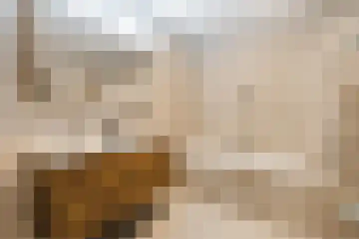 De Hoop 26 Zeewolde thumbnail 27