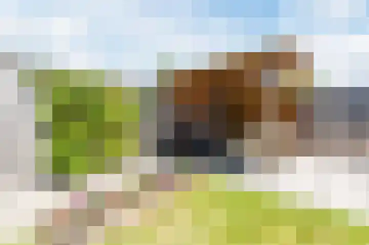 De Hoop 26 Zeewolde thumbnail 44
