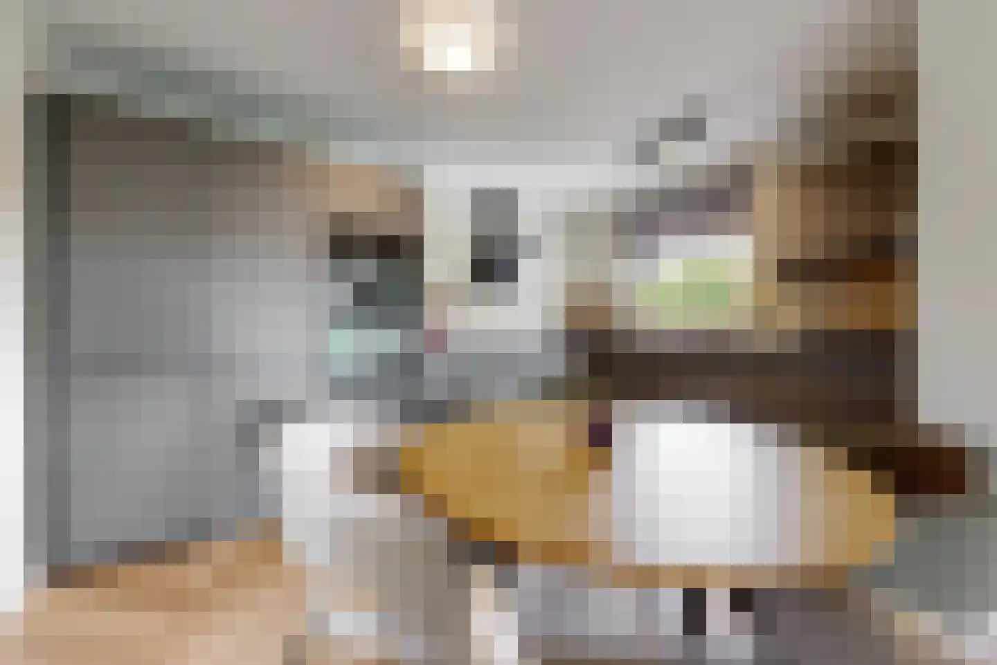 De Hoop 4 b Uitgeest thumbnail 11