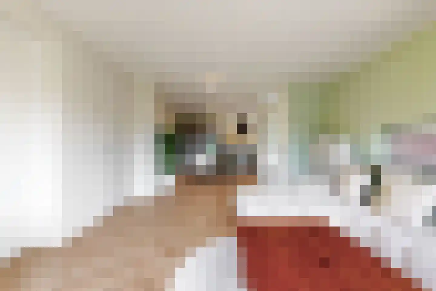 De Hoop 4 b Uitgeest thumbnail 6