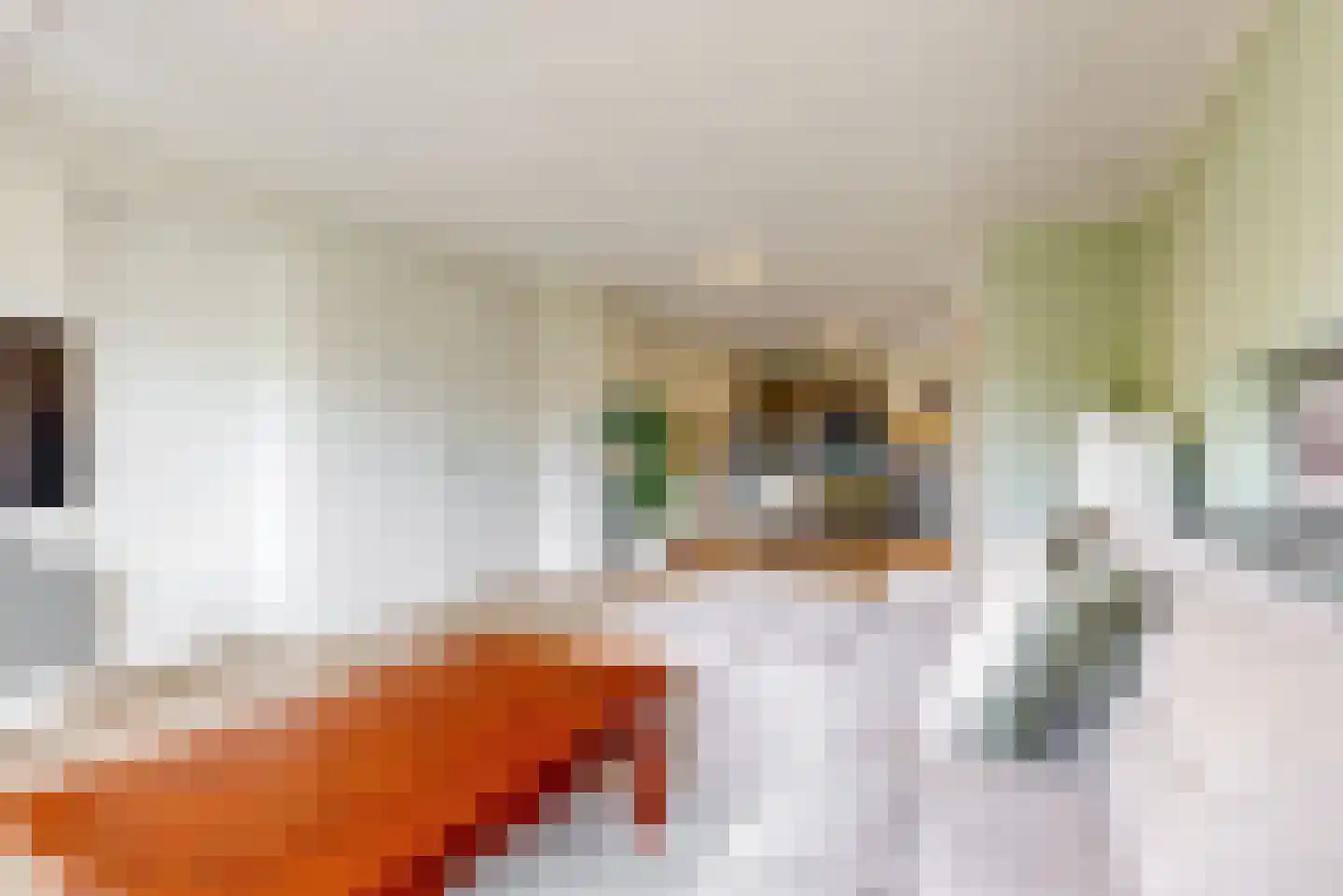 De Hoop 4 b Uitgeest thumbnail 7