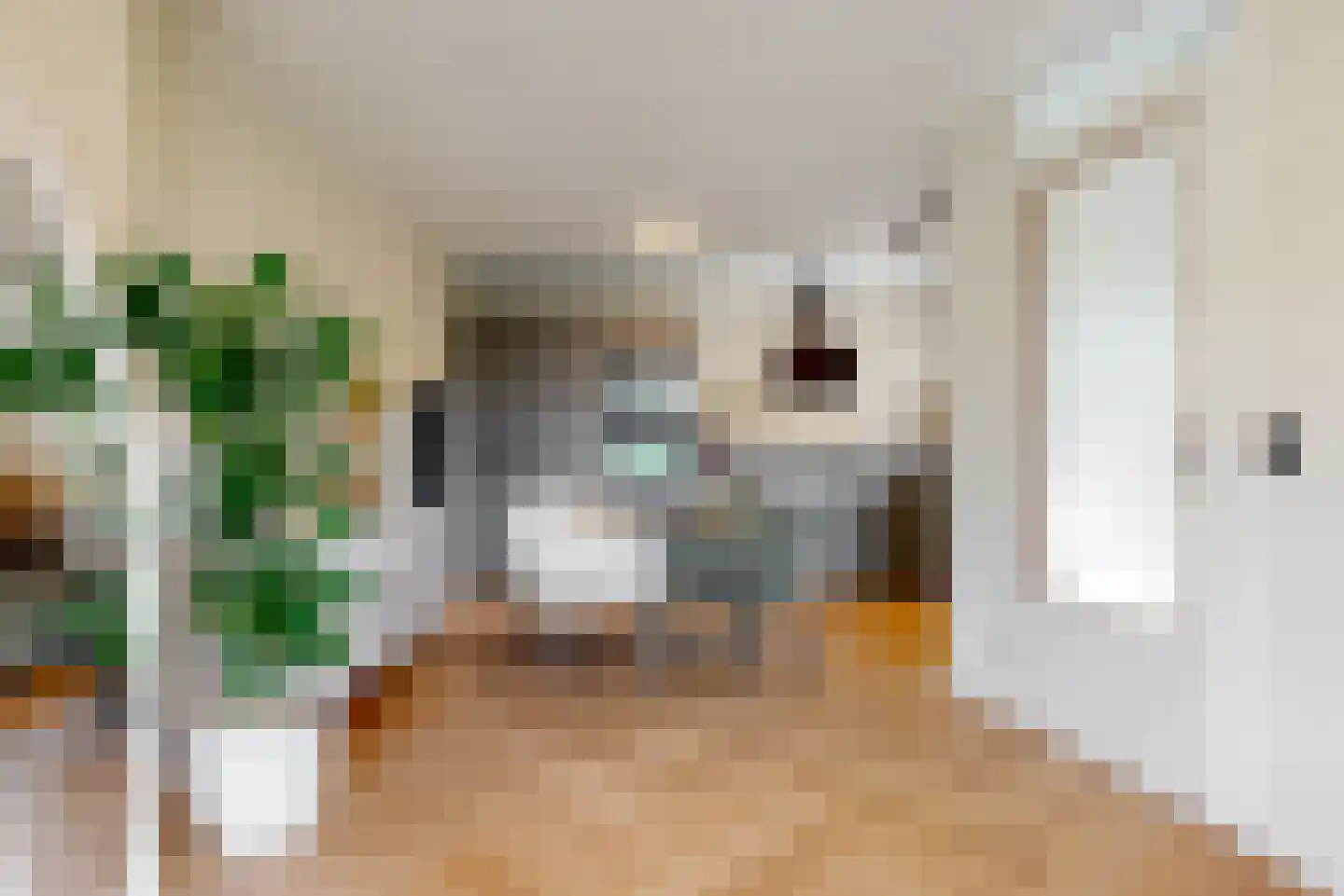 De Hoop 4 b Uitgeest thumbnail 8