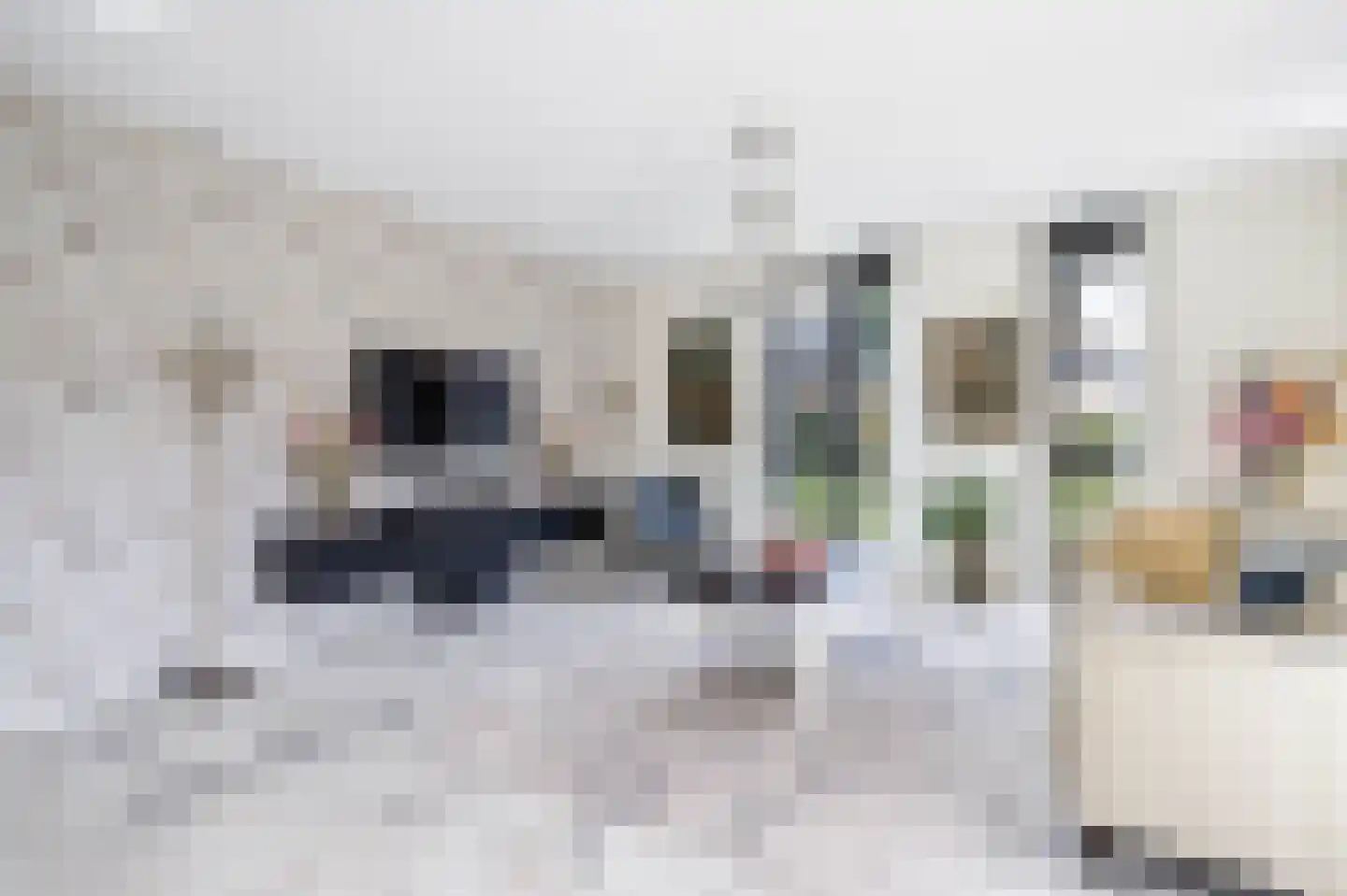 De Hoop 41 Krimpen aan de Lek thumbnail 12