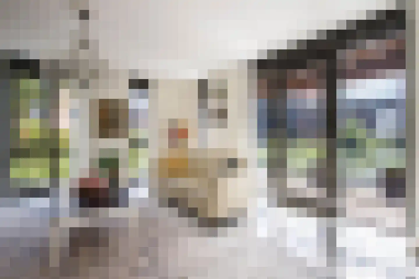 De Hoop 41 Krimpen aan de Lek thumbnail 13