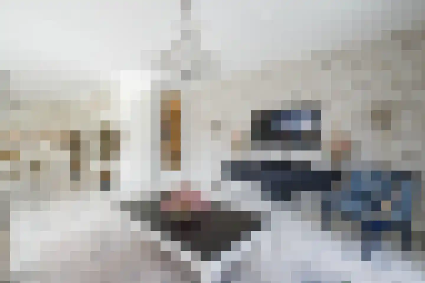 De Hoop 41 Krimpen aan de Lek thumbnail 15