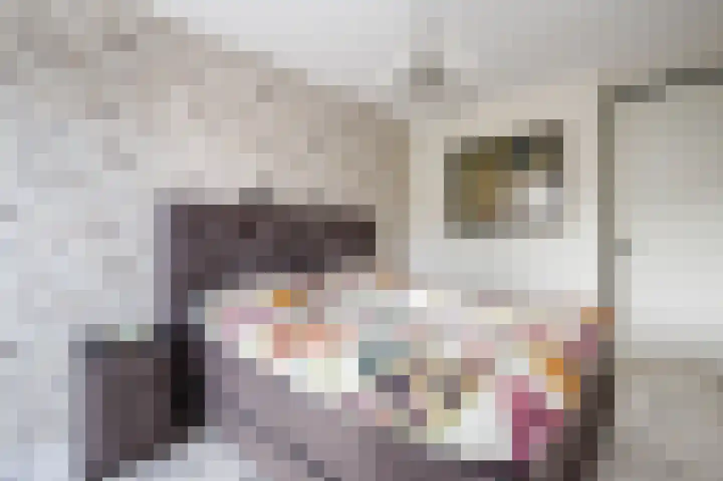De Hoop 41 Krimpen aan de Lek thumbnail 23