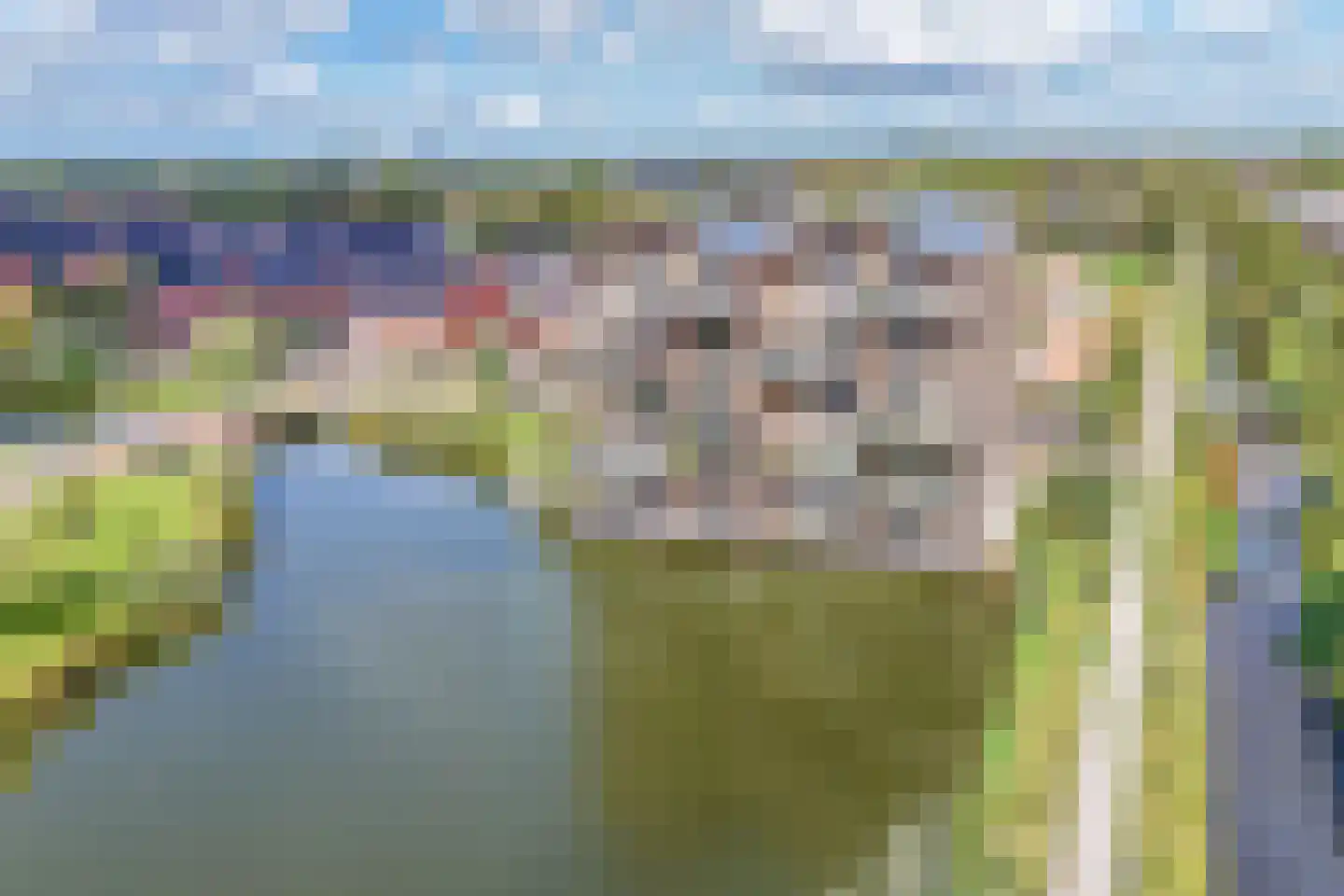 De Hoop 41 Krimpen aan de Lek thumbnail 29