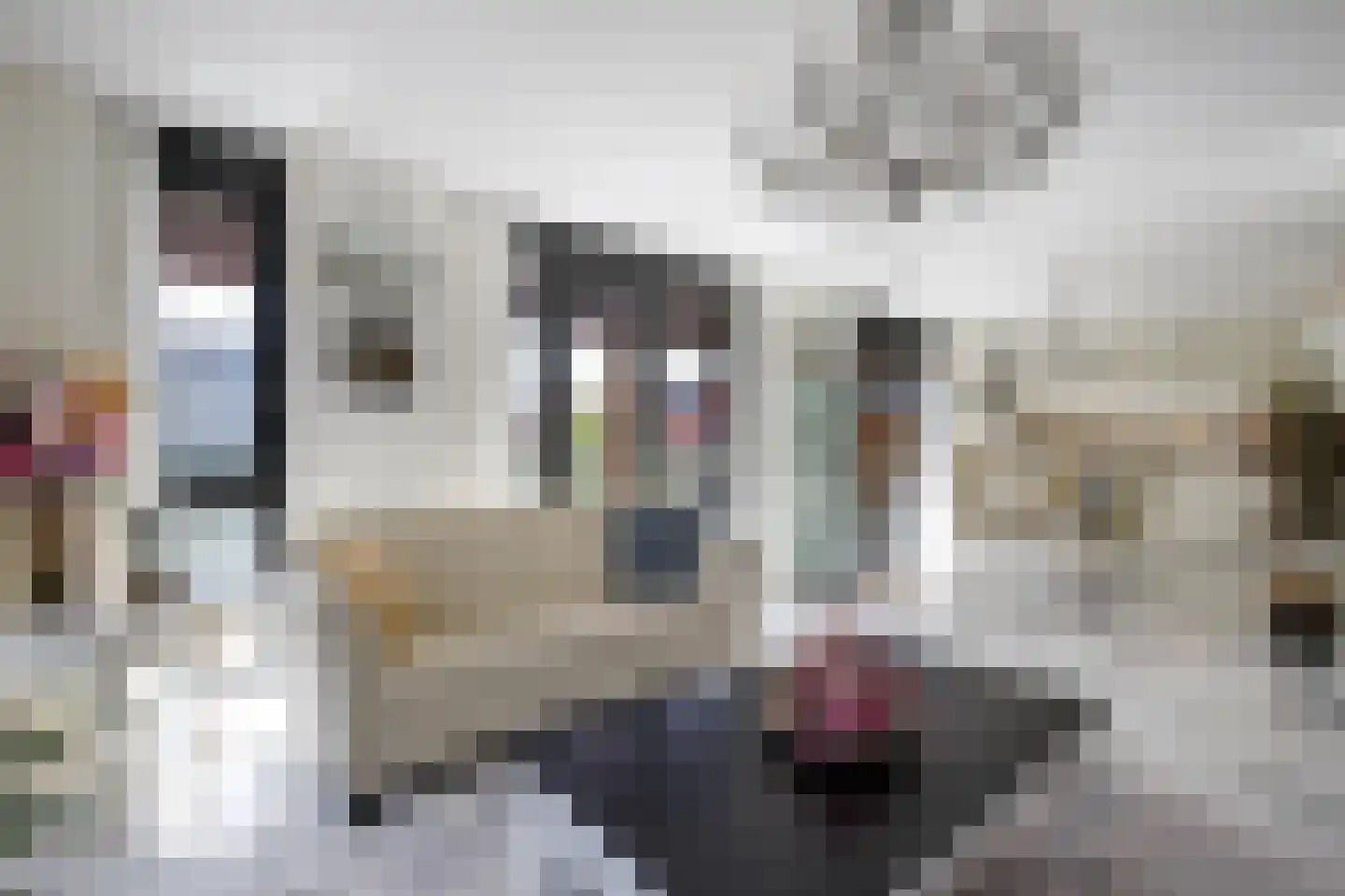 De Hoop 41 Krimpen aan de Lek thumbnail 4