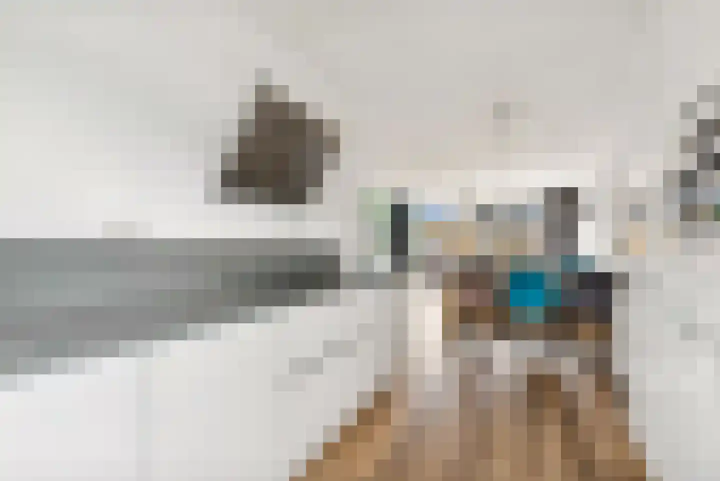 De Hoop 45 Zeewolde thumbnail 15
