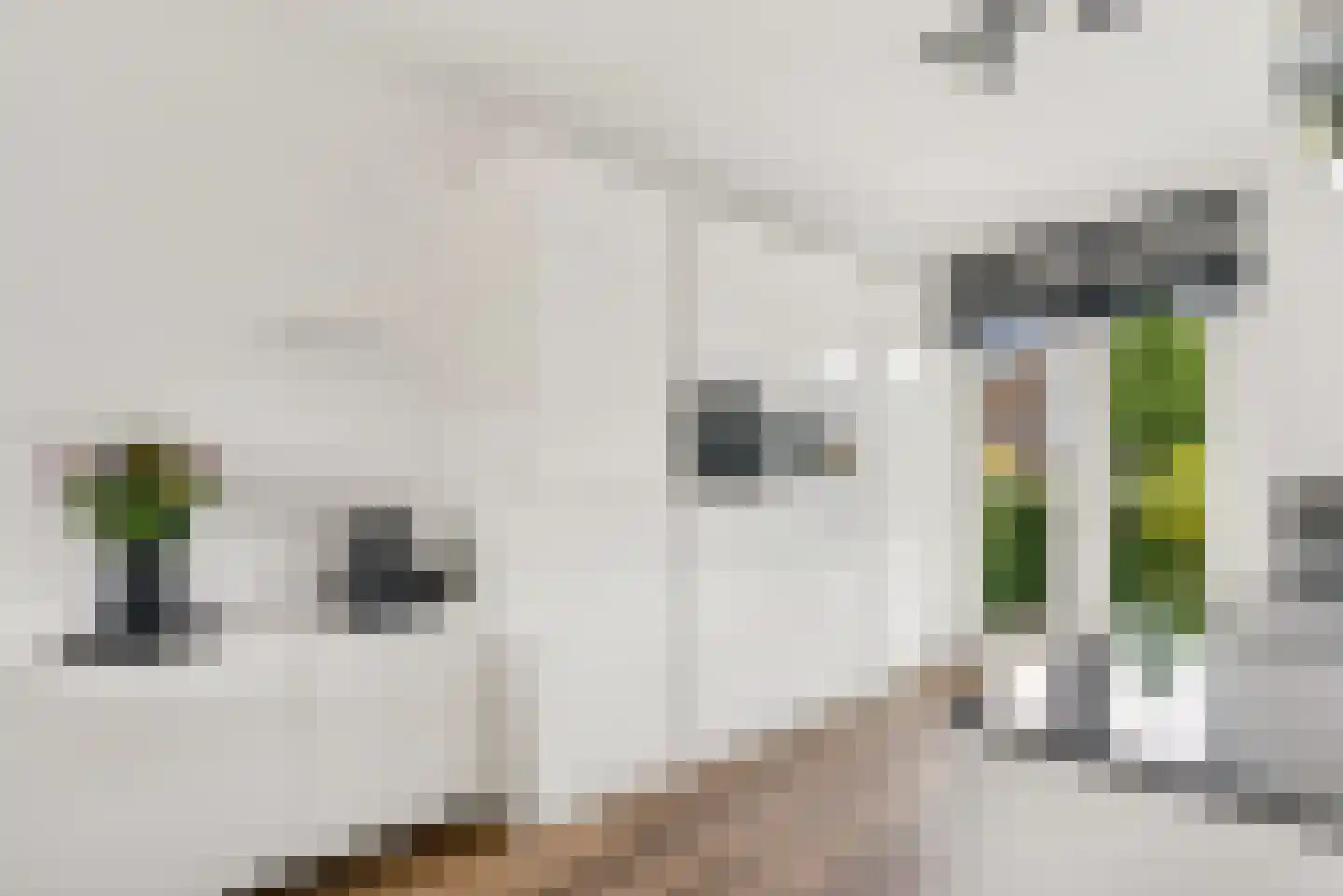 De Hoop 45 Zeewolde thumbnail 16