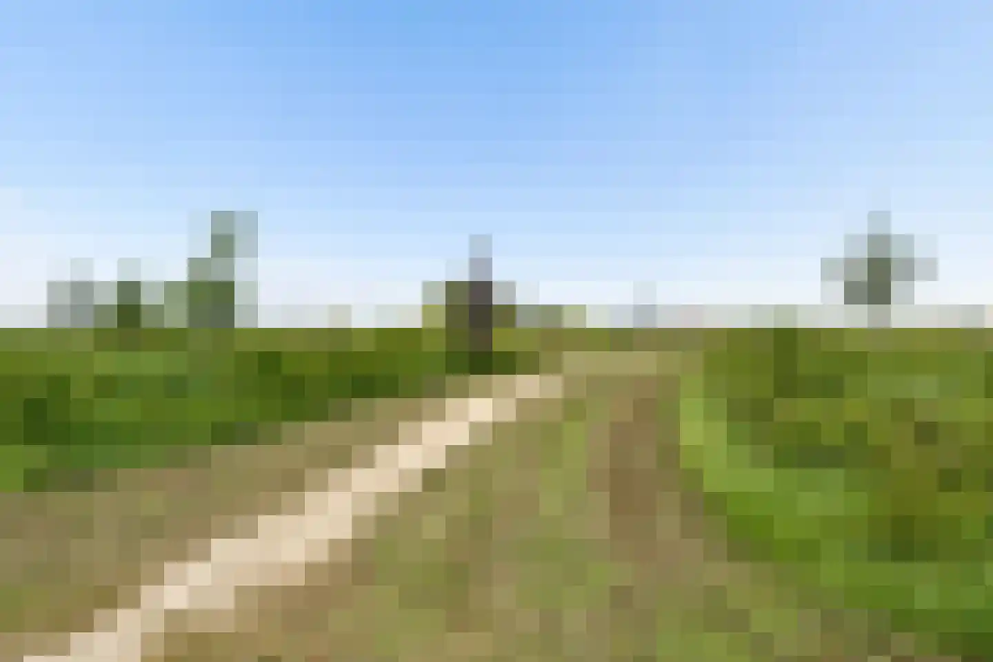 De Hoop 45 Zeewolde thumbnail 50