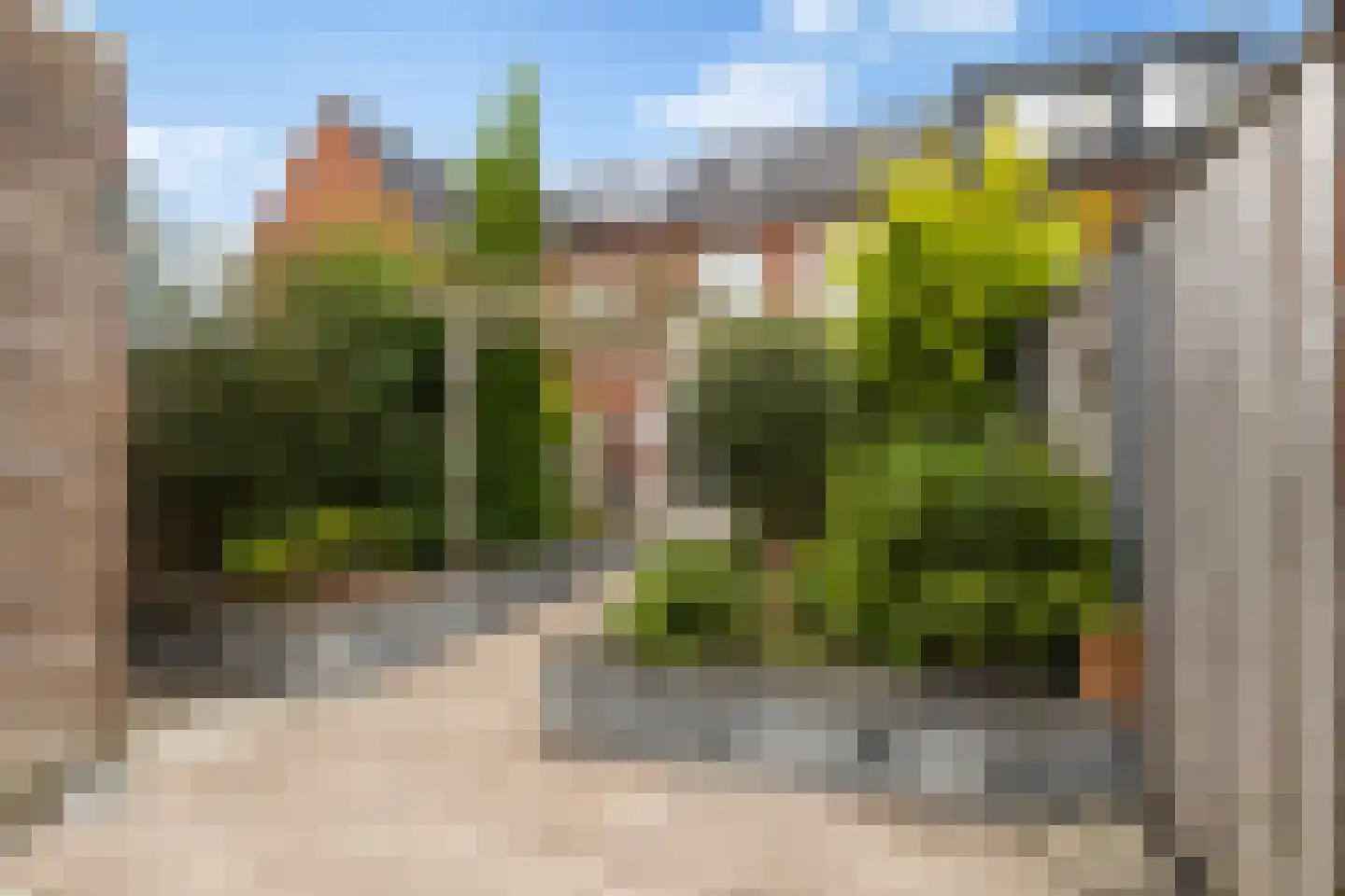 De Hoop 47 Zeewolde thumbnail 31