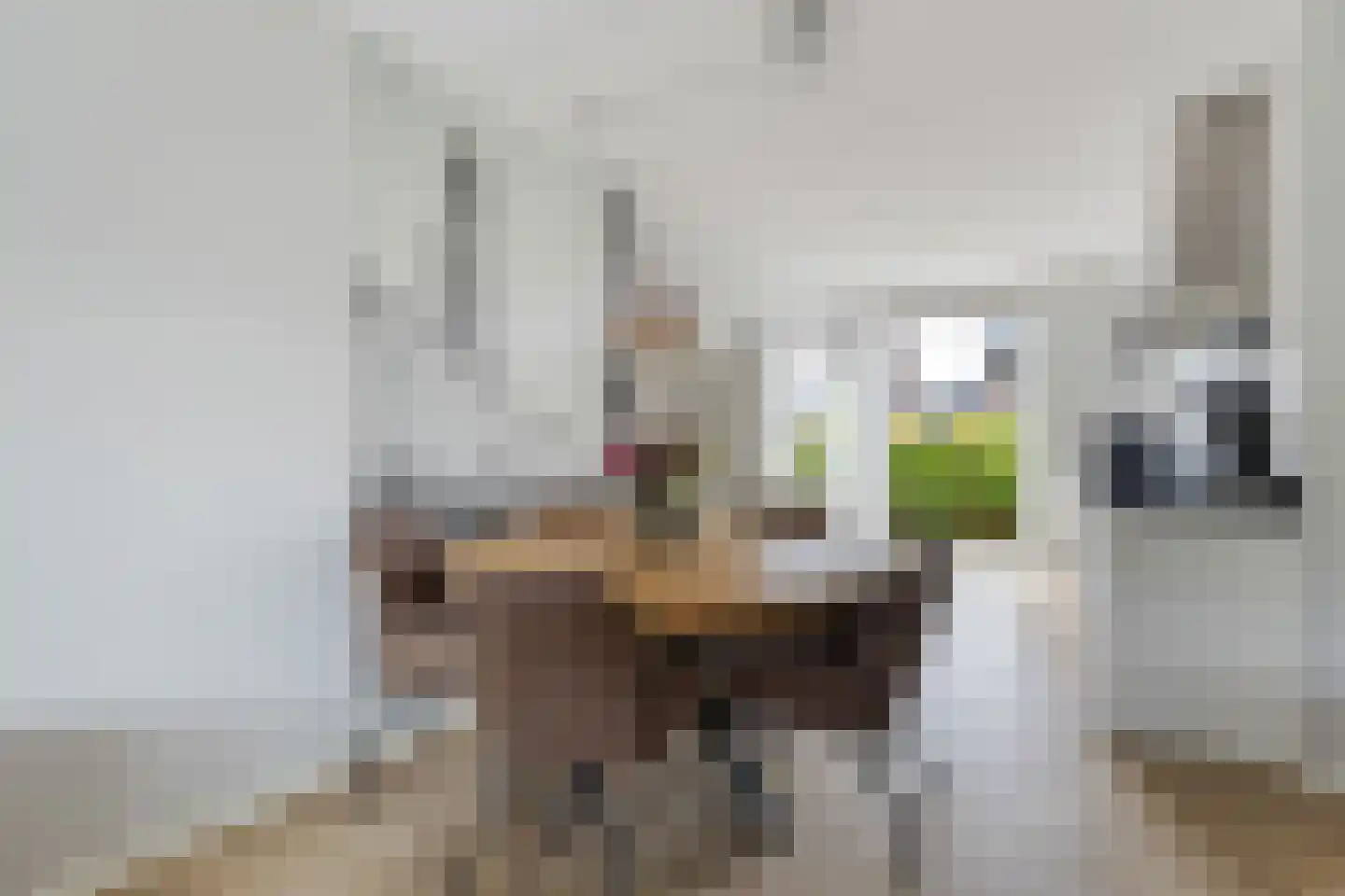 De Hoop 47 Zeewolde thumbnail 4