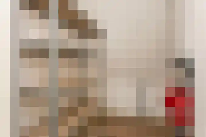 De Hoopkade 21 Maarssen thumbnail 24