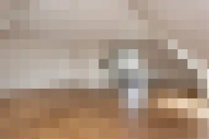 De Hoopkade 21 Maarssen thumbnail 9