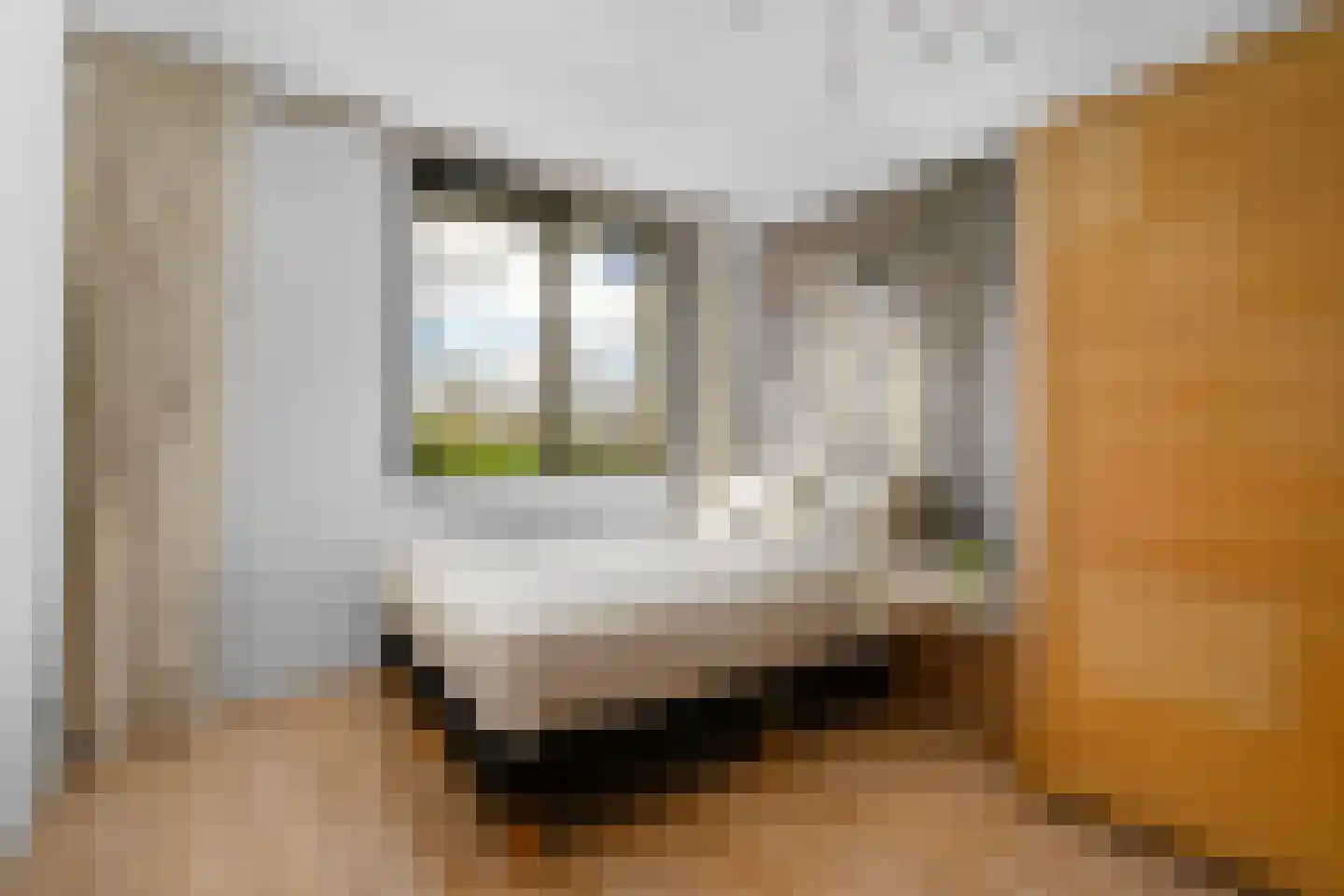 De Hoorn 32 Amstelveen thumbnail 19