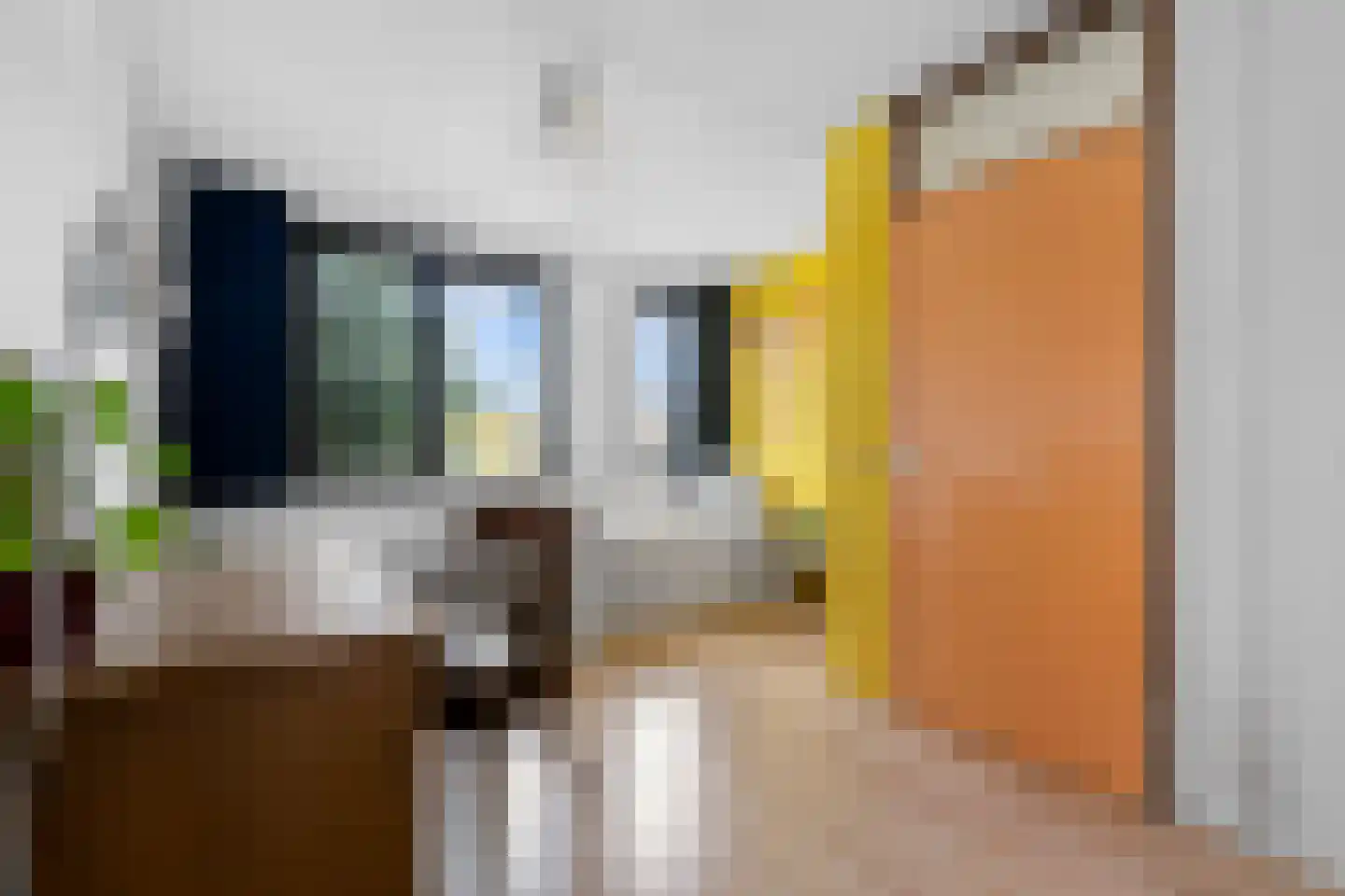 De Hoorn 32 Amstelveen thumbnail 22