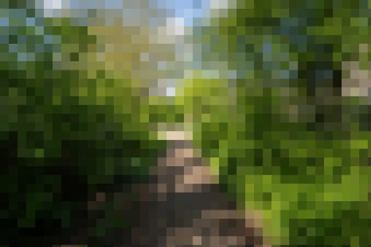 De Hoorn 32 Amstelveen thumbnail 45