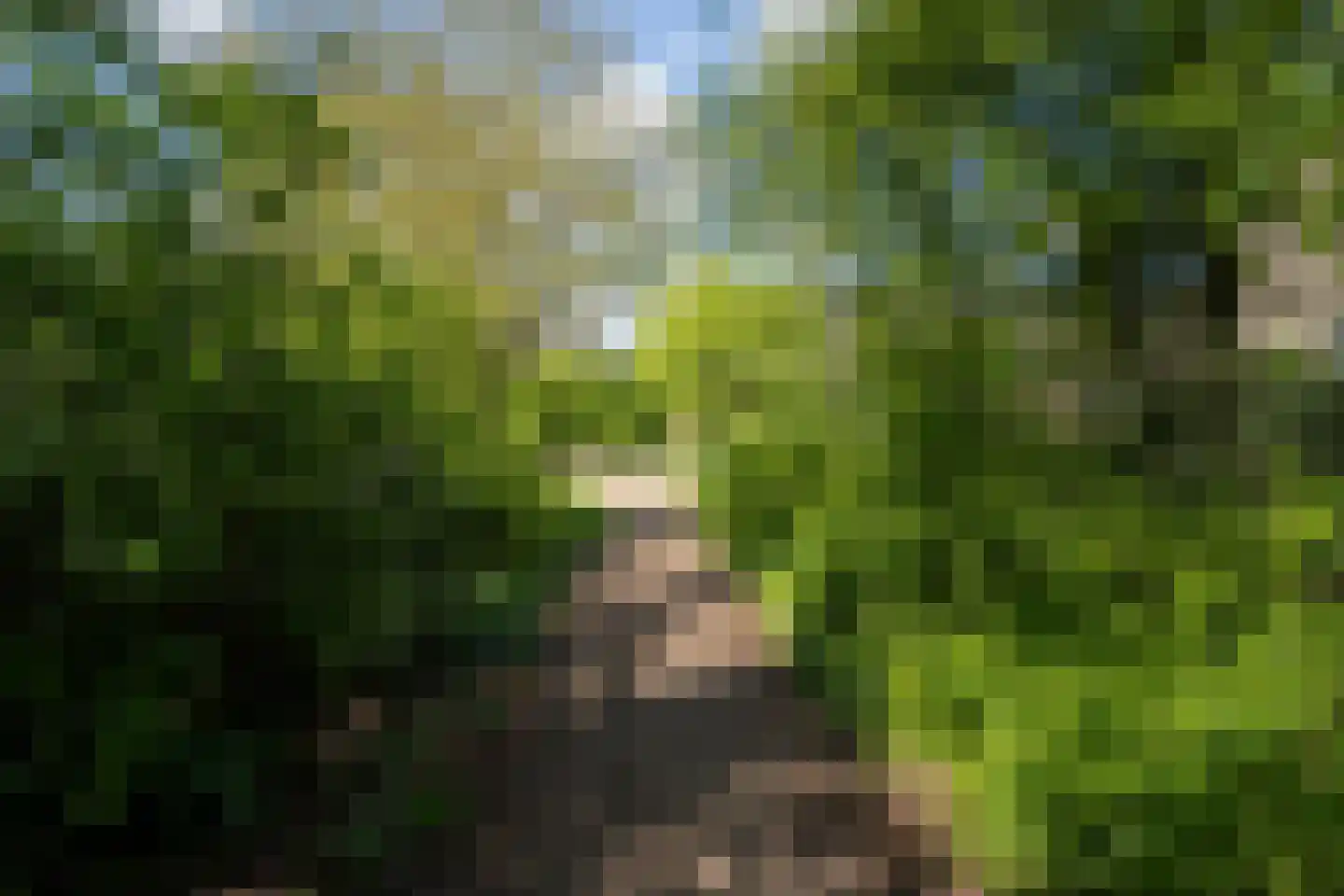 De Hoorn 32 Amstelveen thumbnail 53