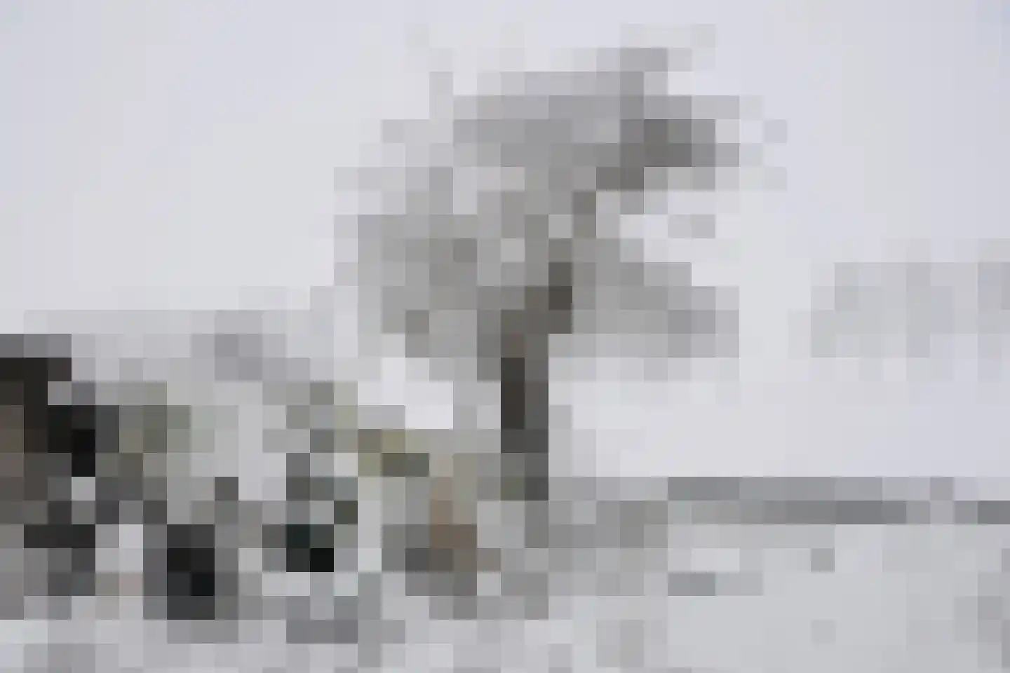 De Hoorn 32 Amstelveen thumbnail 54