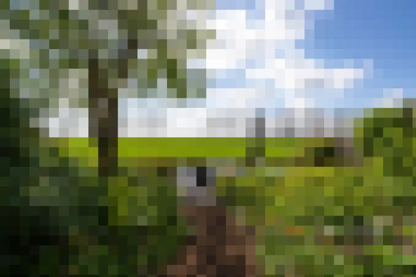 De Hoorn 32 Amstelveen thumbnail 7