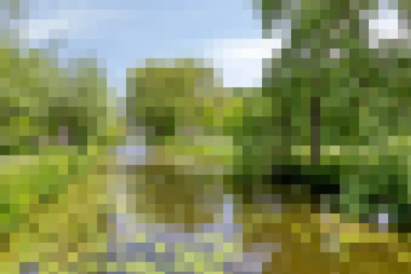 De Hoornbloem 17 Wateringen thumbnail 35