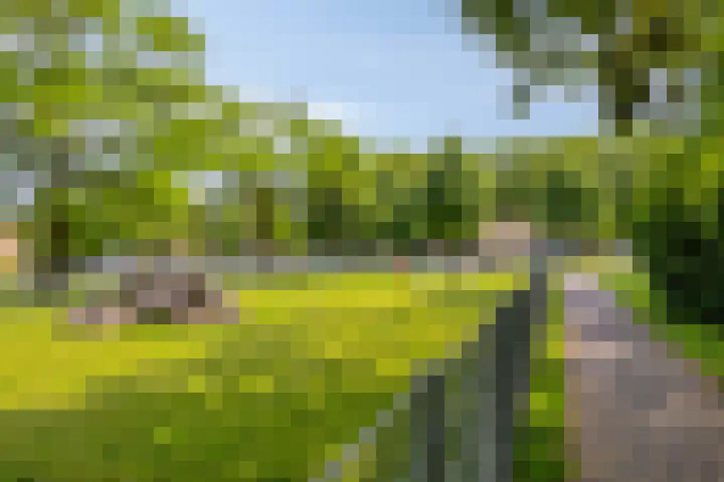 De Hoornbloem 17 Wateringen thumbnail 36