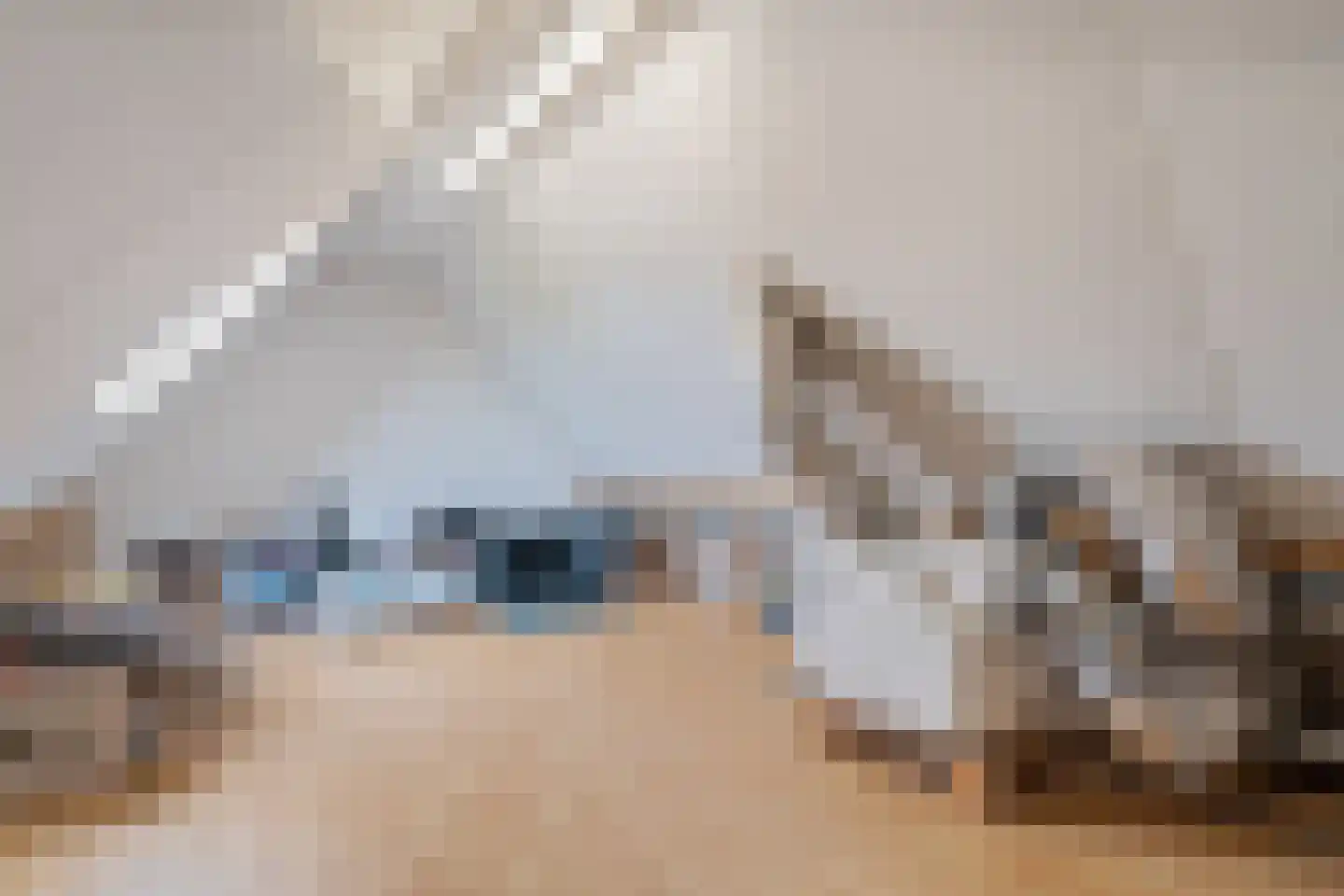 De Hoorns 42 Rolde thumbnail 38