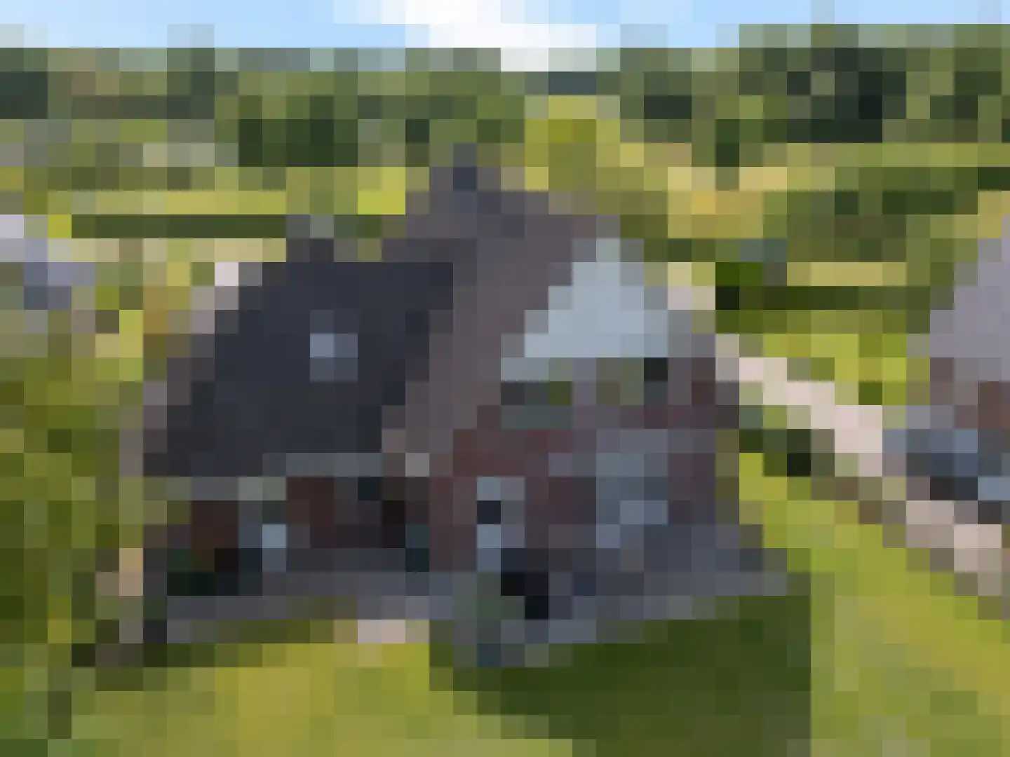 De Hoorns 42 Rolde thumbnail 41