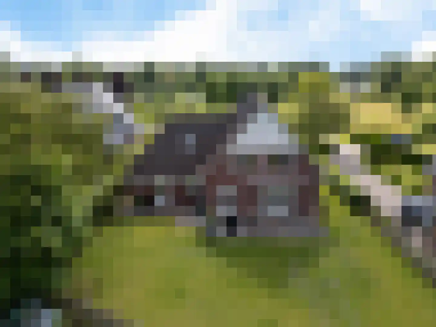 De Hoorns 42 Rolde thumbnail 42