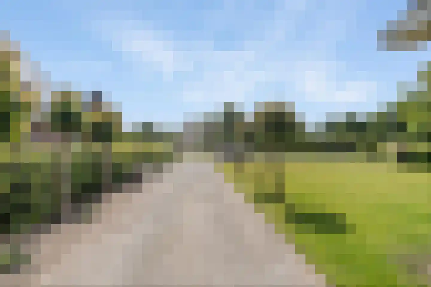 De Hoorns 42 Rolde thumbnail 47