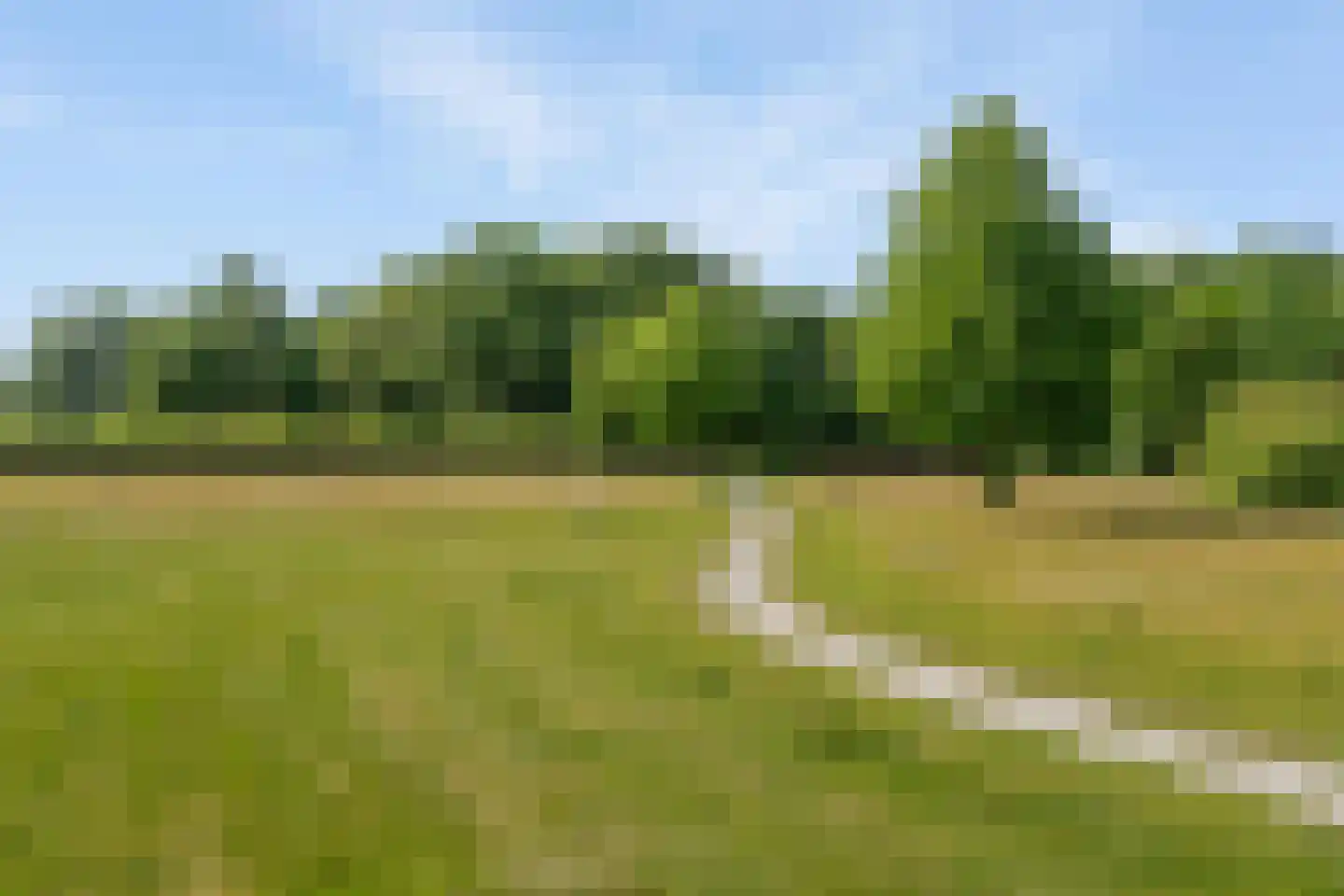 De Hoorns 42 Rolde thumbnail 48