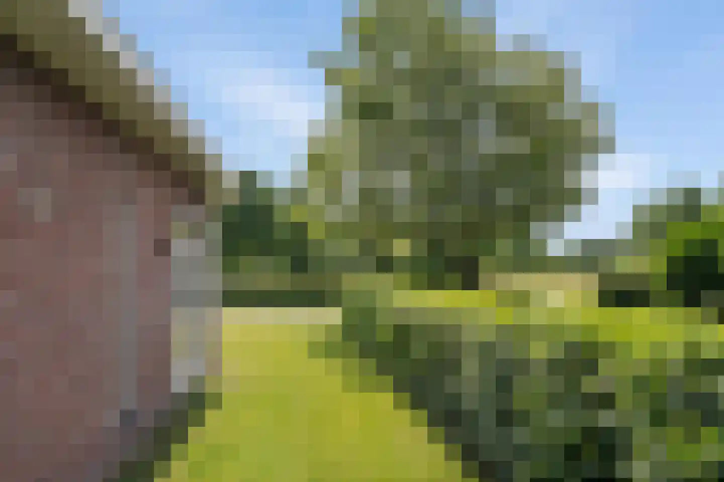 De Hoorns 42 Rolde thumbnail 49