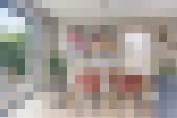 De Hoorns 9 Rolde thumbnail 11