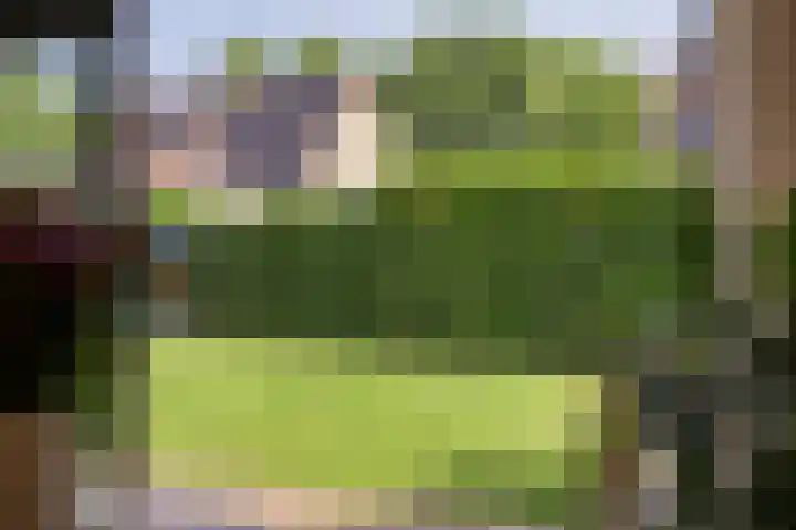 De Hoorns 9 Rolde thumbnail 12