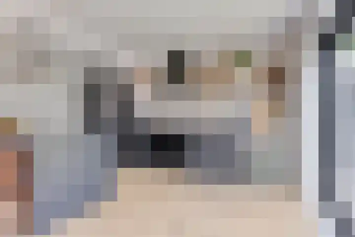De Hoorns 9 Rolde thumbnail 13