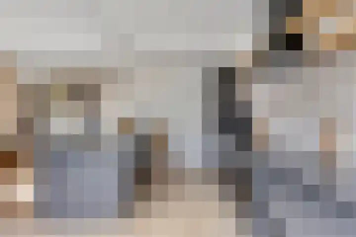 De Hoorns 9 Rolde thumbnail 14