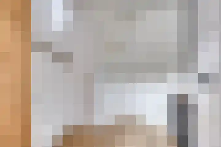 De Hoorns 9 Rolde thumbnail 16