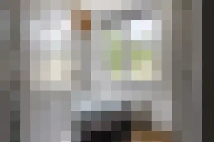 De Hoorns 9 Rolde thumbnail 18