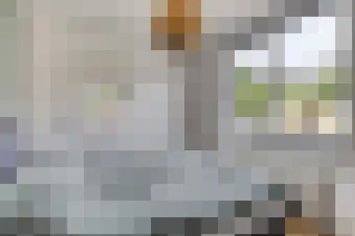 De Hoorns 9 Rolde thumbnail 19