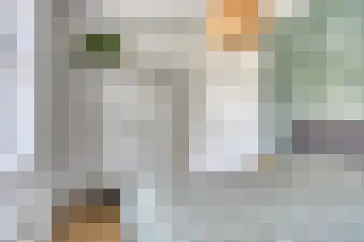 De Hoorns 9 Rolde thumbnail 20