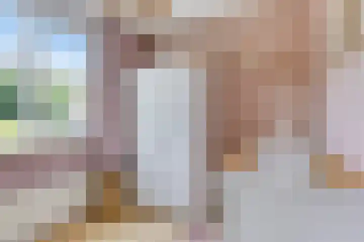 De Hoorns 9 Rolde thumbnail 27