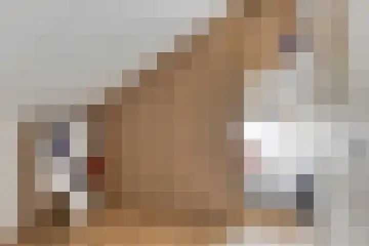 De Hoorns 9 Rolde thumbnail 30