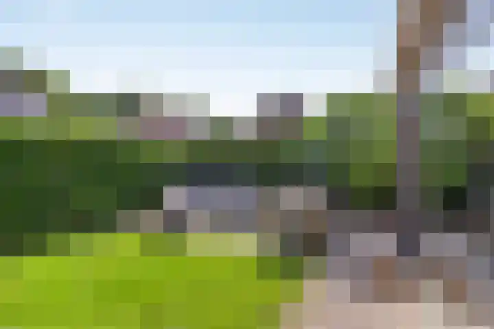 De Hoorns 9 Rolde thumbnail 31