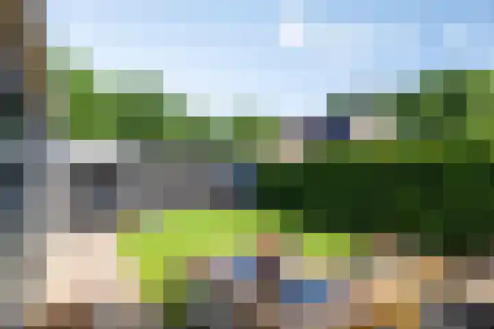 De Hoorns 9 Rolde thumbnail 32