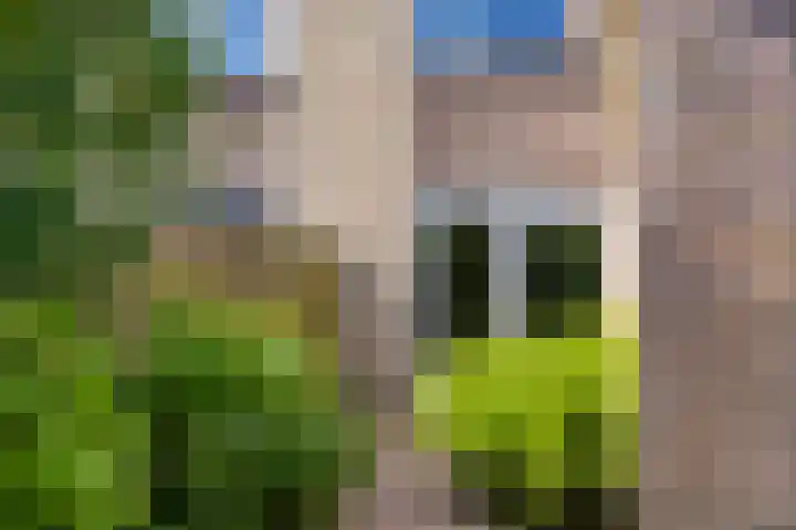 De Hoorns 9 Rolde thumbnail 33