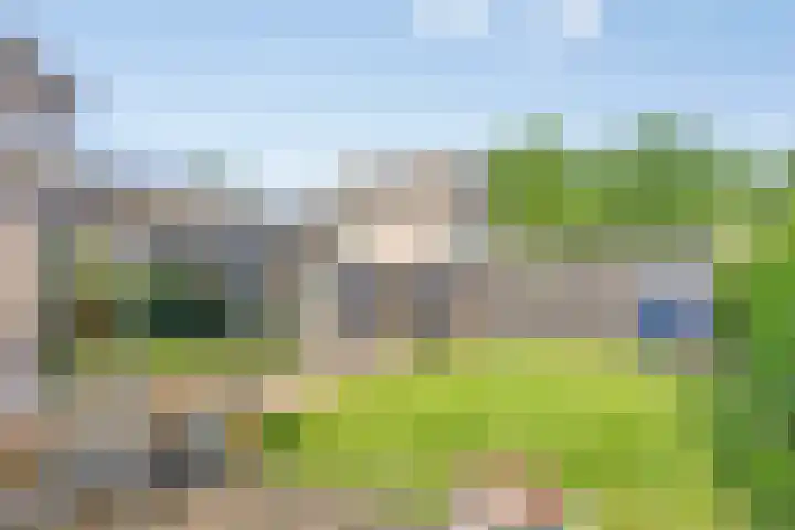 De Hoorns 9 Rolde thumbnail 34