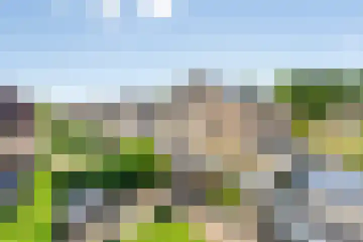 De Hoorns 9 Rolde thumbnail 35